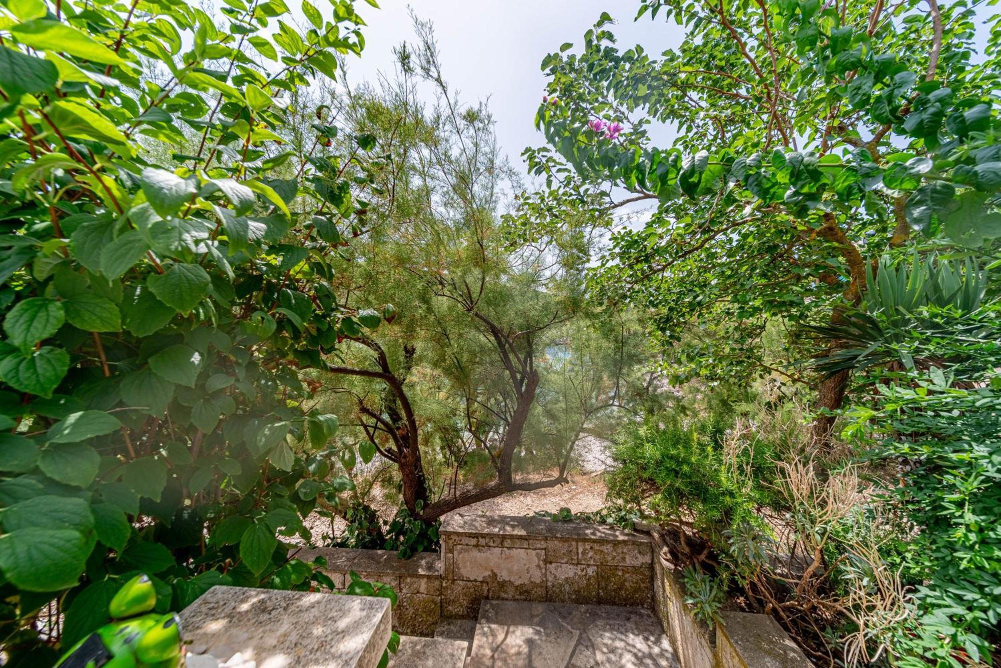 Seaside House For Families With Children Cove Rasohatica, Korcula - 4386 Lumbarda Ngoại thất bức ảnh