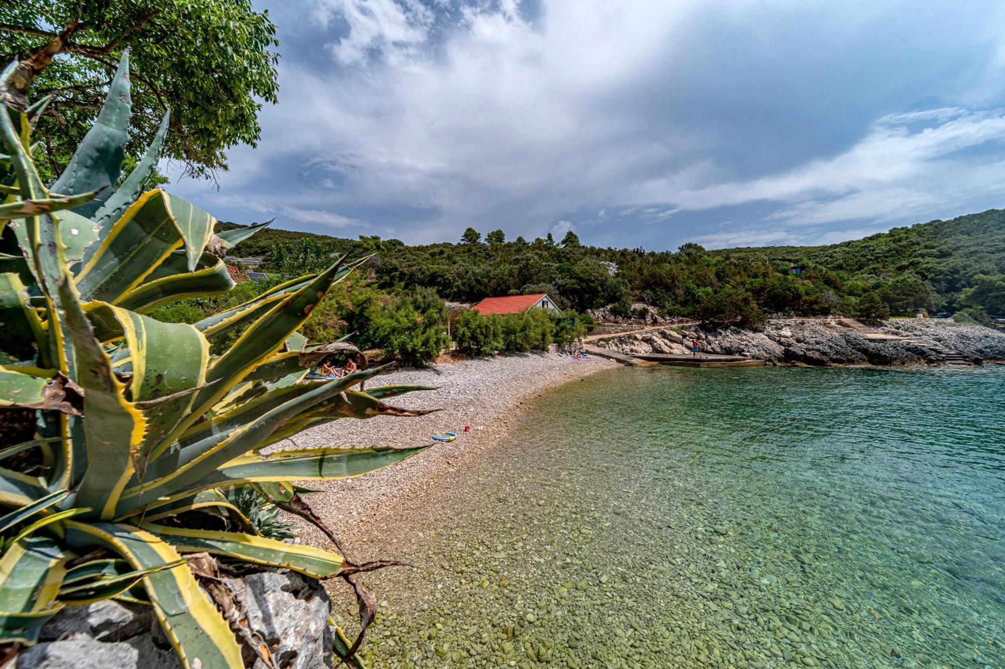 Seaside House For Families With Children Cove Rasohatica, Korcula - 4386 Lumbarda Ngoại thất bức ảnh